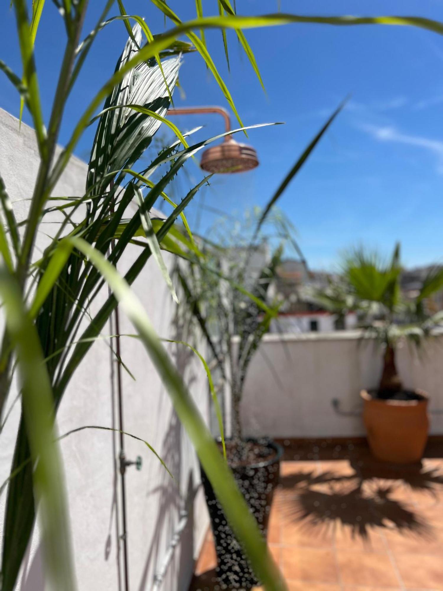 La Terraza De Porvenir 10 - Jerez De La Frontera Apartment Екстериор снимка
